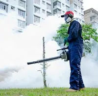 Pest Control Services