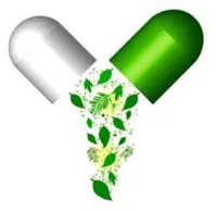 Ayurvedic Medicine Clinics