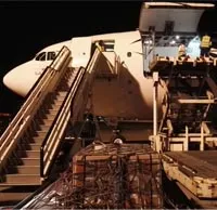 Cargo Services and Agents