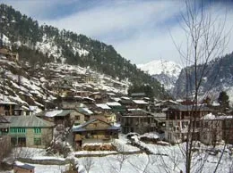 Manali Yellow Pages