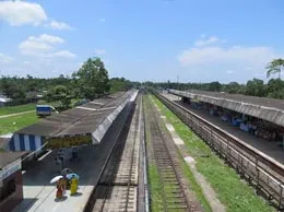 Mariani Yellow Pages