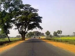 Masaurhi Yellow Pages