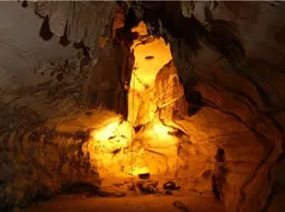 Nandyal Yellow Pages