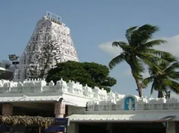 Narsipatnam Yellow Pages