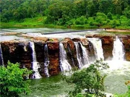 Navsari Yellow Pages