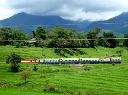 Palampur Yellow Pages