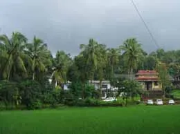 Panniyannur Yellow Pages