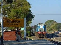 Pipariya Yellow Pages