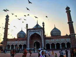 Adityana Yellow Pages