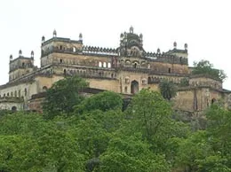 Rajgarh-MP Yellow Pages