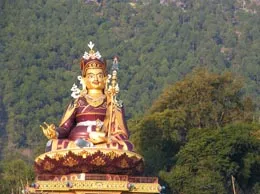 Rawalsar Yellow Pages