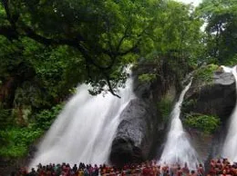 Sankarankoil Yellow Pages