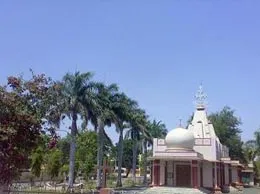 Shujalpur Yellow Pages