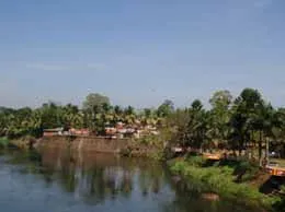 Thodupuzha Yellow Pages