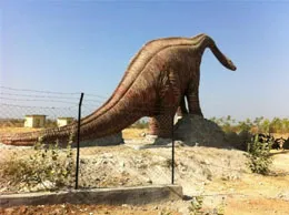 Balasinor Yellow Pages