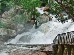 Udumalaipettai Yellow Pages