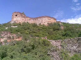 Venkatagiri Yellow Pages