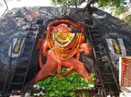 Vinukonda Yellow Pages