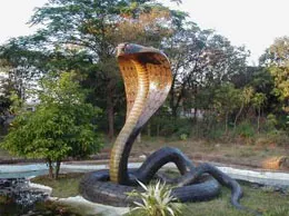 Bilimora Yellow Pages