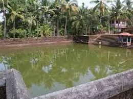 Cheruthazham Yellow Pages