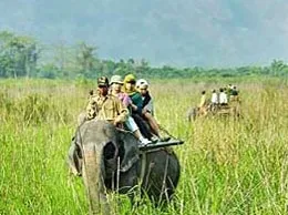 Golaghat Yellow Pages