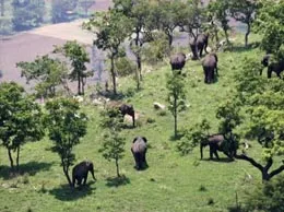 Gundlupet Yellow Pages