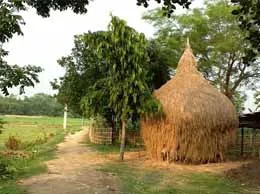 Haldibari Yellow Pages