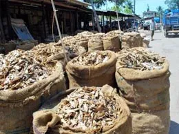 Jagiroad Yellow Pages