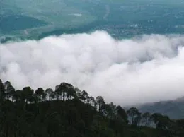 Kasauli Yellow Pages