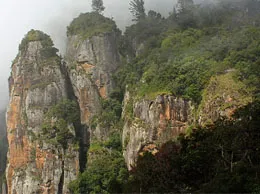 Kodaikanal Yellow Pages