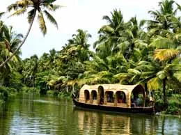 Kottayam Yellow Pages