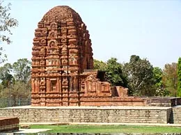 Mahasamund Yellow Pages