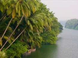 Malappuram Yellow Pages